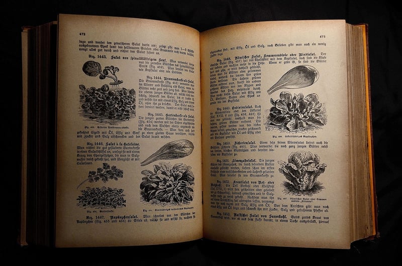 Cookbooks