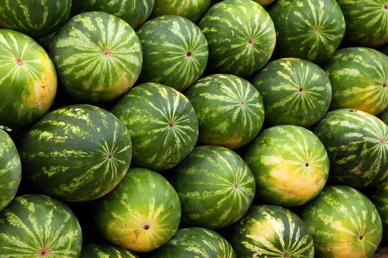 Fresh Vegetables